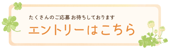 エントリーはこちら